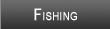 Lake Ontario Fishing